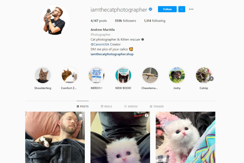 instagram photographes pour animaux de compagnie Andrew Marttila