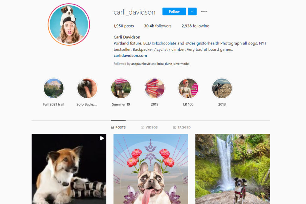 instagram photographes pour animaux de compagnie CarlI Davidson