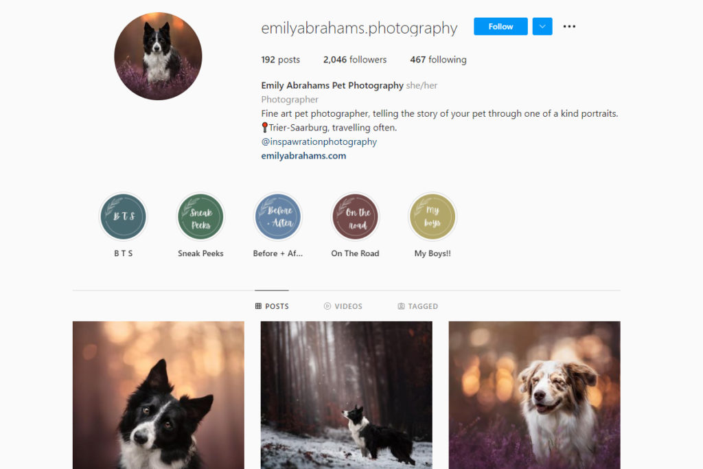 les photographes animaliers d'instagram Emily Abrahams