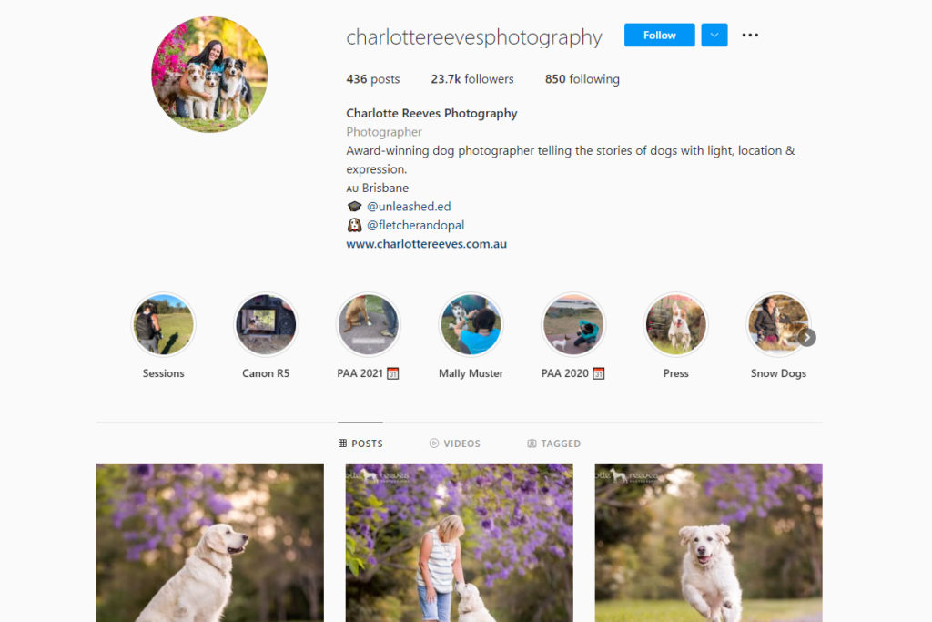 instagram photographes pour animaux de compagnie Charlotte Reeves