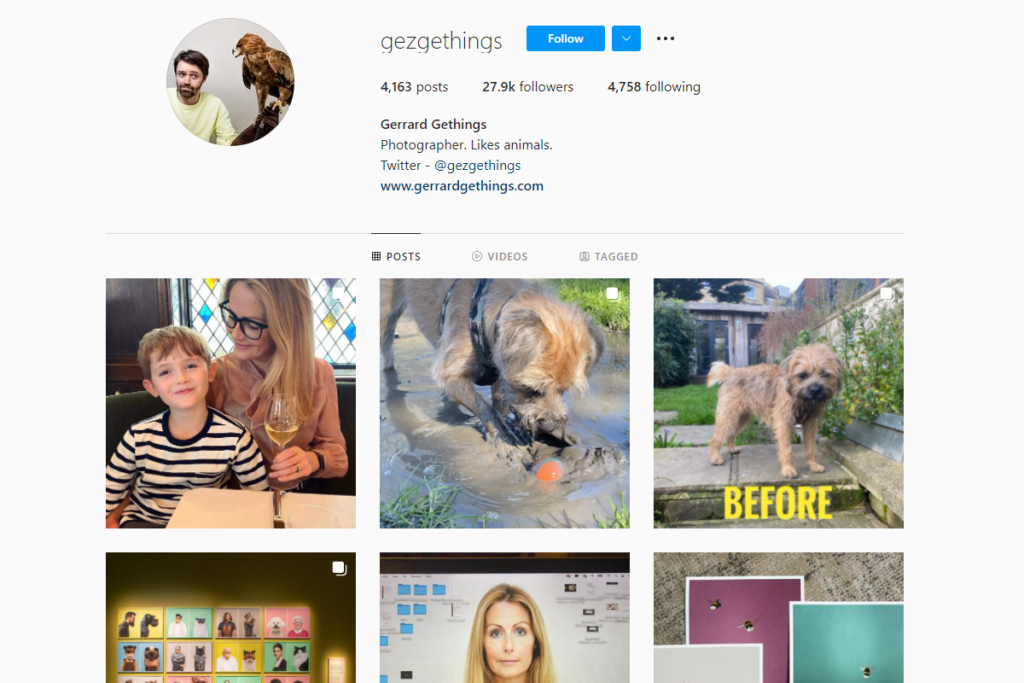 photographes pour animaux de compagnie sur instagram Gerrard Gethings