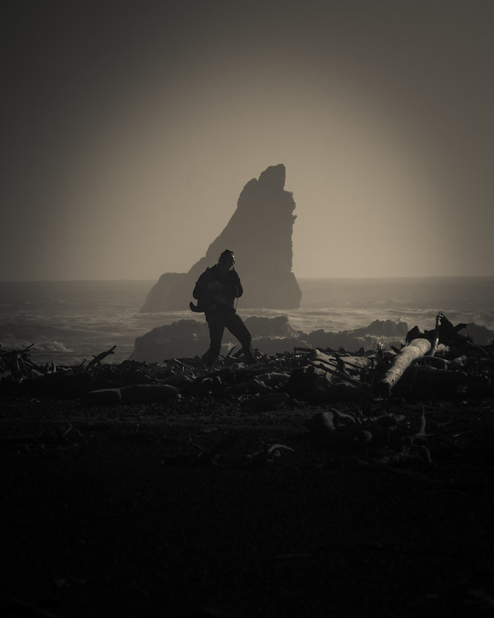 The Last Landing Le-dernier-debarquement-–-Coince-aux-douanes