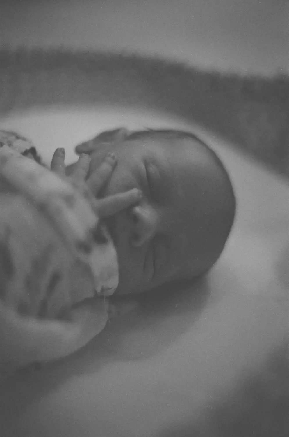 8 images... de mon fils nouveau-né sur ILFORD HP5 PLUS (Format 35 mm / Nikon Nikkormat / Nikkor 50 mm f/1.4 AI-S) - par Spencer Cameron