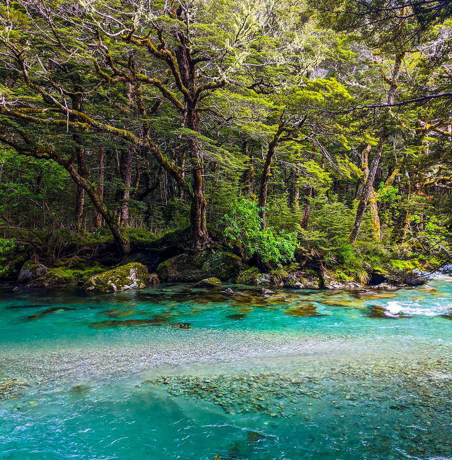 Creative Commons Noncommercial - Contact licensing@stuckincustoms.com for more info Marcher-sur-la-Routeburn-–-Coince-a-la-douane